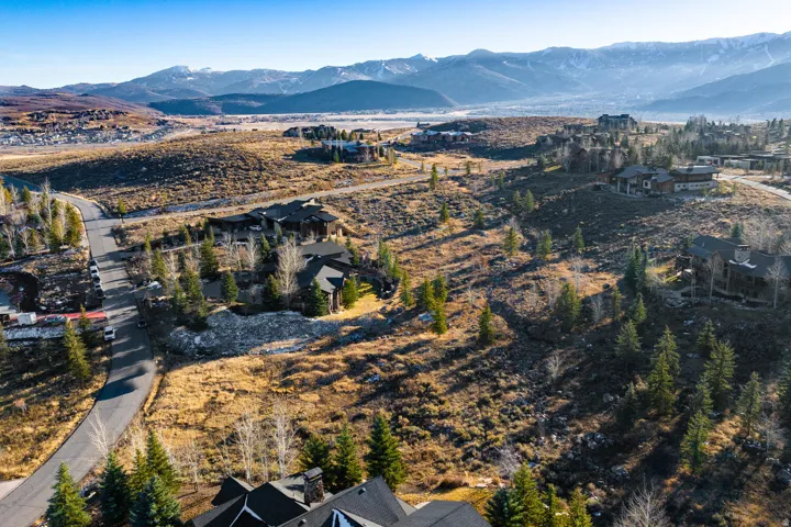 Expansive natural landscape featuring scattered evergreen trees and mountainous terrain
