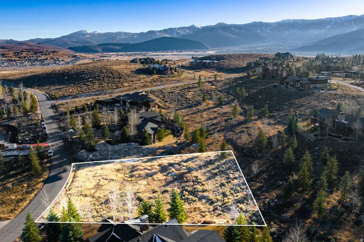 Expansive undeveloped lot featuring natural vegetation, scattered evergreen trees, and a mountain backdrop