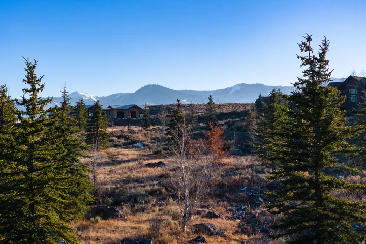 Expansive natural terrain featuring evergreen trees and distant mountain ranges