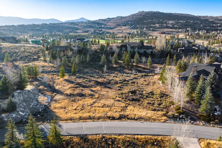 Expansive land parcel with surrounding mature trees and natural vegetation
