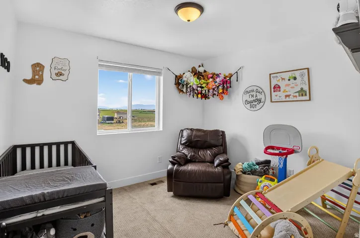 Window offering countryside scenery, light beige carpet flooring, white walls, and a semi-flush ceiling light fixture