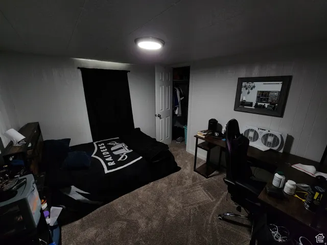 Carpeted interior room featuring white panel walls and a built-in closet with a white door