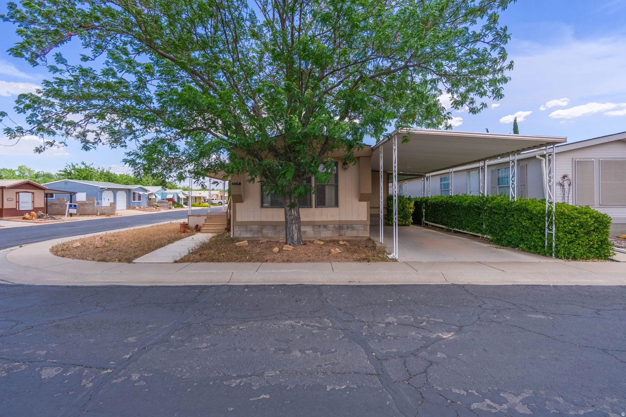 Exterior featuring a covered carport, established tree, and neatly trimmed privacy hedging