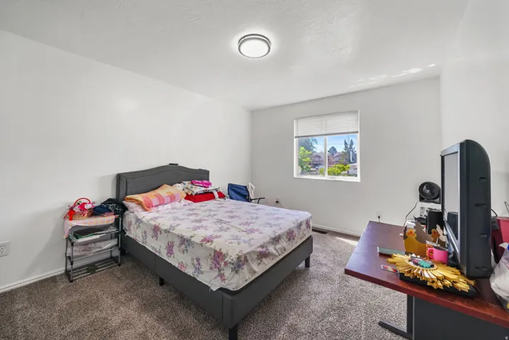 Carpeted room featuring a single window with blinds, white walls, and a ceiling-mounted light fixture