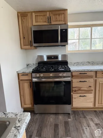 Kitchen featuring wood cabinetry, stainless steel appliances, speckled countertops, and wood-finish flooring