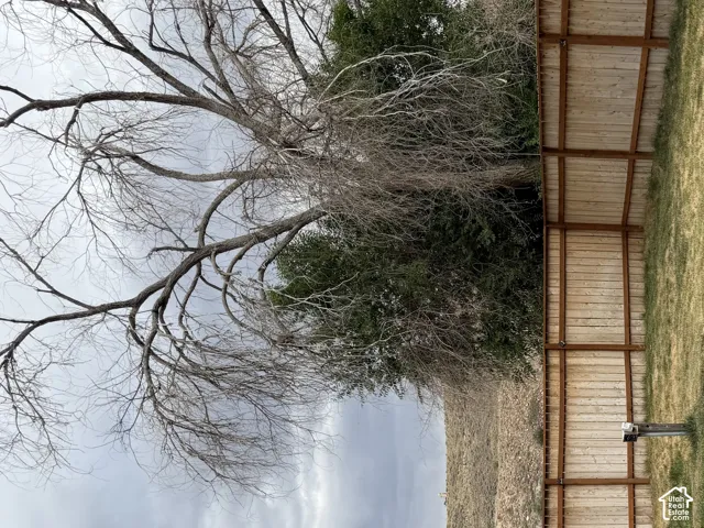 Expansive fenced backyard featuring a wooden privacy fence, a mature deciduous tree, and natural landscape beyond the property line