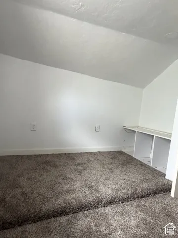 Carpeted room with a stepped floor elevation, white painted walls, and built-in white shelving