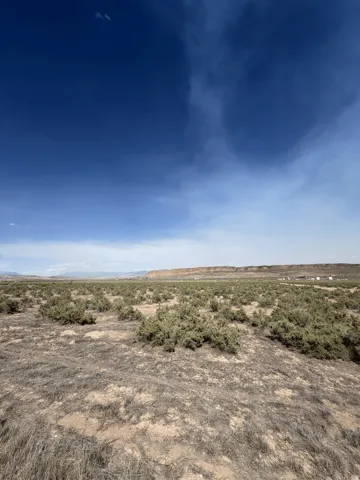 Expansive open land featuring natural vegetation and distant mesa formations