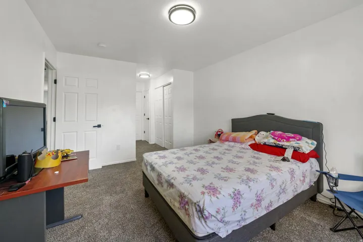 Spacious room with white walls, gray carpet flooring, and two white panel doors with black hardware