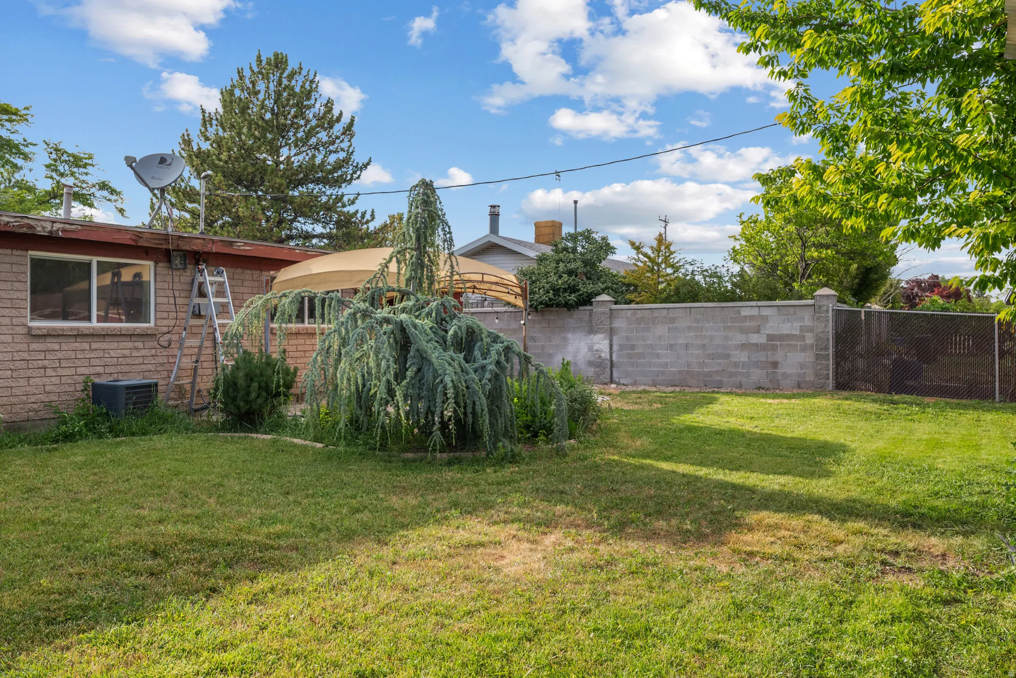 Expansive grassy lawn with a mature weeping evergreen, a brick exterior, and a solid block wall
