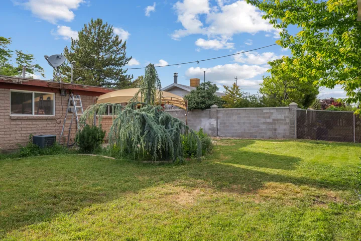 Expansive grassy lawn with a mature weeping evergreen, a brick exterior, and a solid block wall