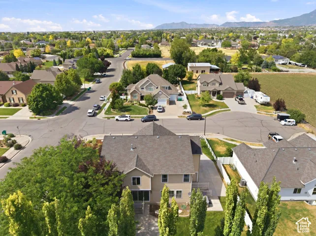 Neighborhood setting with established street infrastructure and mature trees