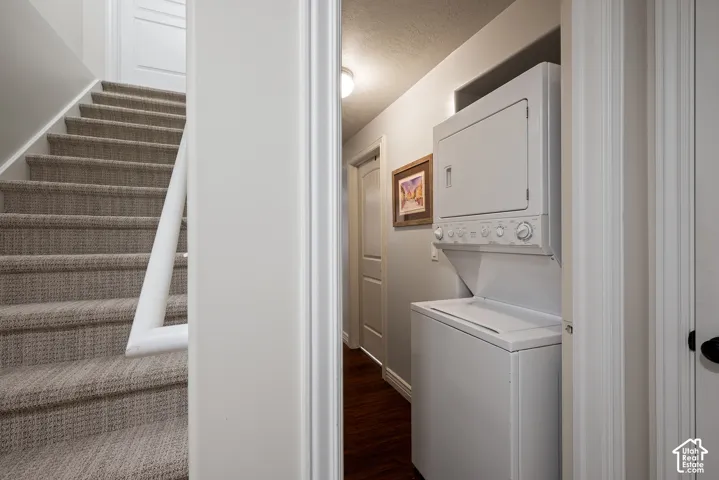 Basement landing with newly carpeted stairs leading into the home's additional living quarters and flexible lower-level living space.