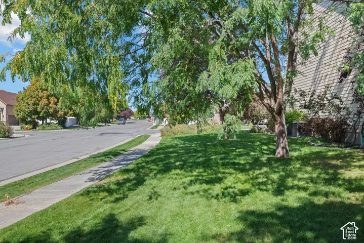 Corner-lot side yard with a quiet neighborhood street view and additional outdoor space created by the home's desirable positioning.