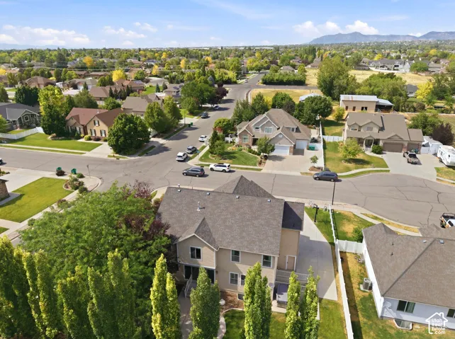 Residential area featuring established landscaping and paved streets