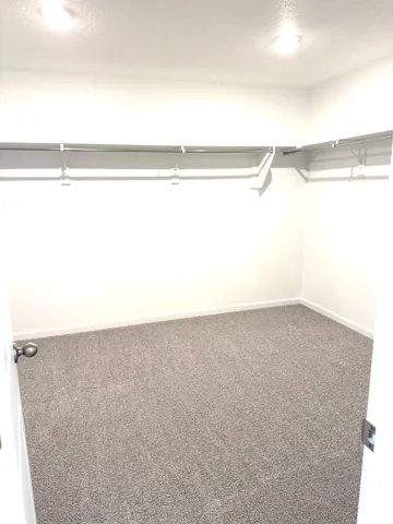 LARGE Primary closet with recessed lighting, light gray carpet, and white walls