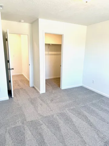 Light gray textured carpeting, white walls, and a built-in closet with shelving