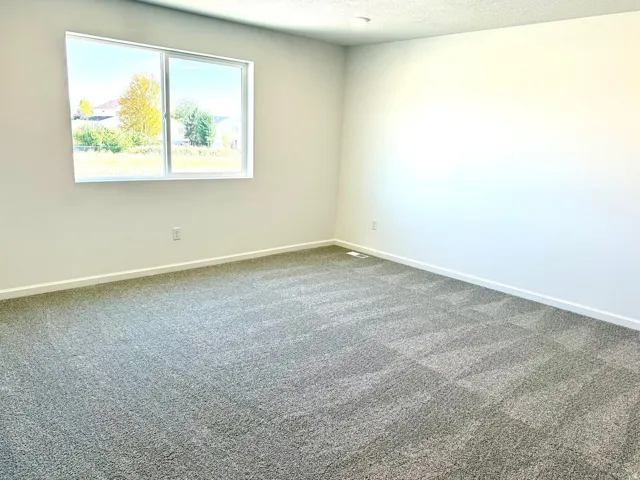 Spacious Primary room with light-colored walls and grey carpeting
