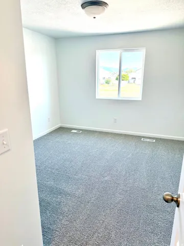 Light gray wall paint, gray carpeting, a single window, and a flush-mount ceiling light fixture