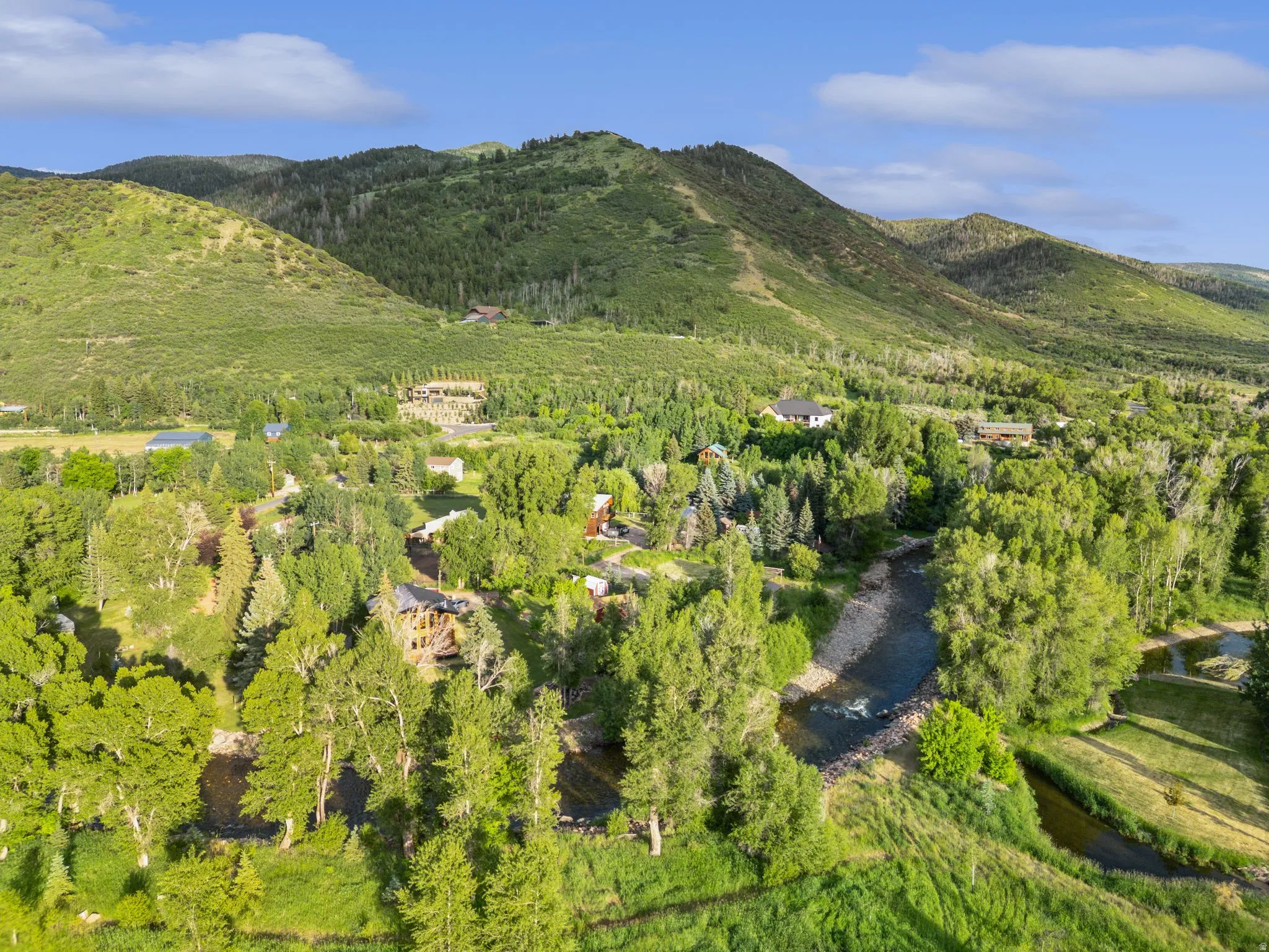 Lush green landscape featuring a river, mature trees, and mountainous terrain