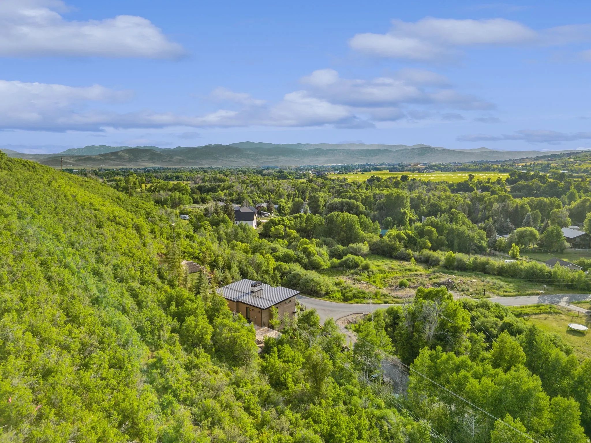 Modern structure nestled on a hillside with extensive surrounding mature trees