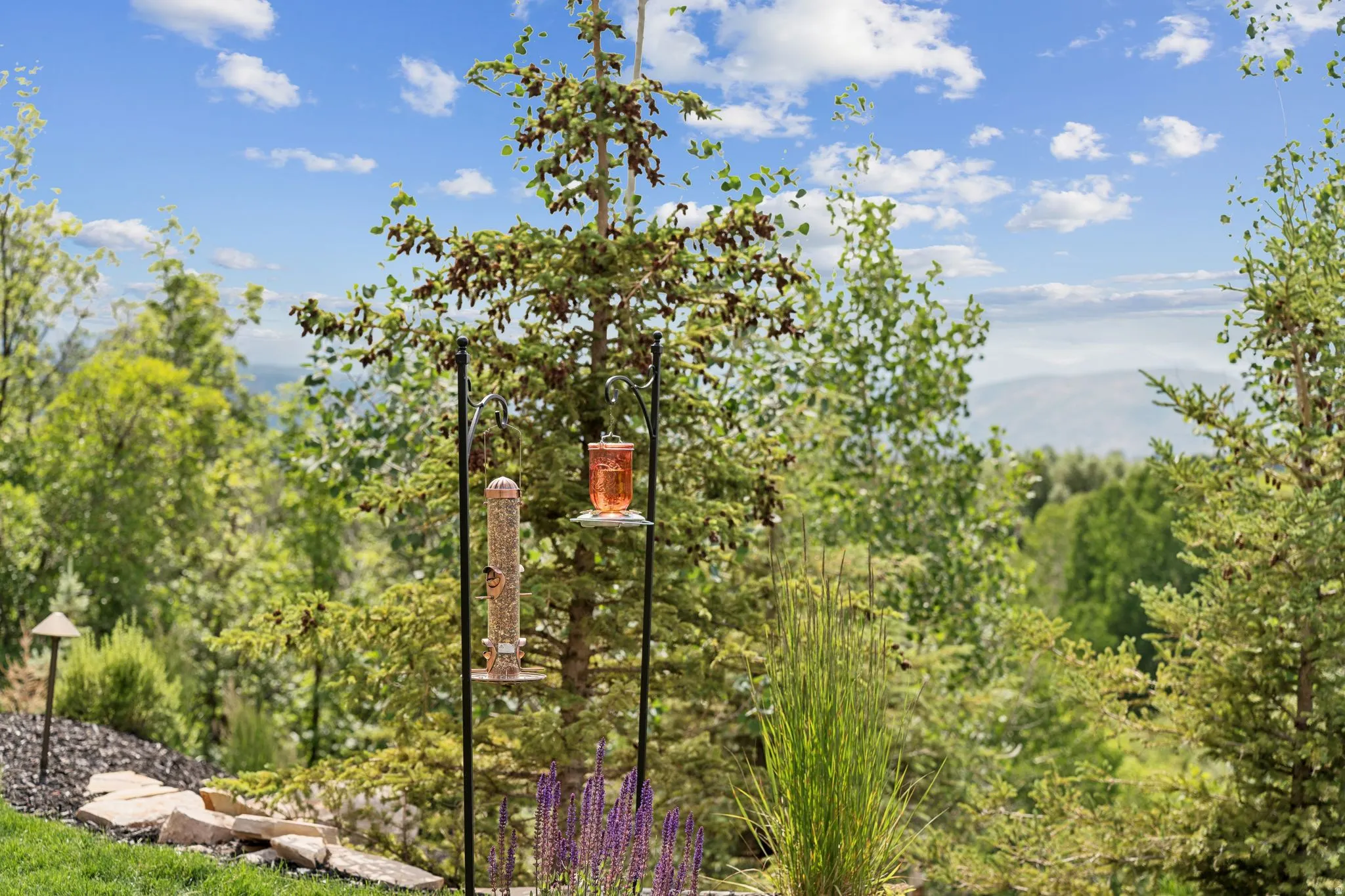 Elevated outdoor space featuring lush greenery, mature trees, and natural stone landscaping