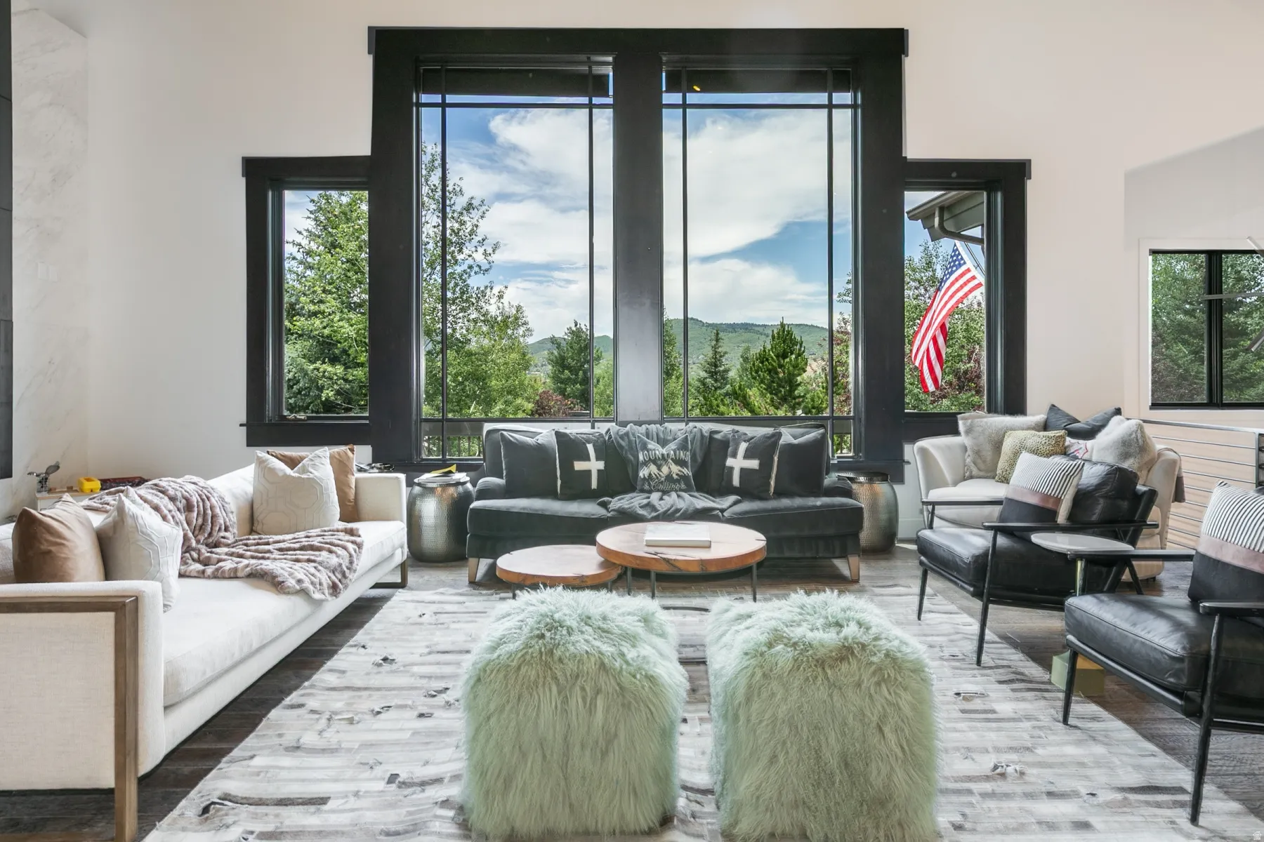 Spacious living area featuring expansive black-framed windows, high ceilings, light-toned walls, and a large area rug