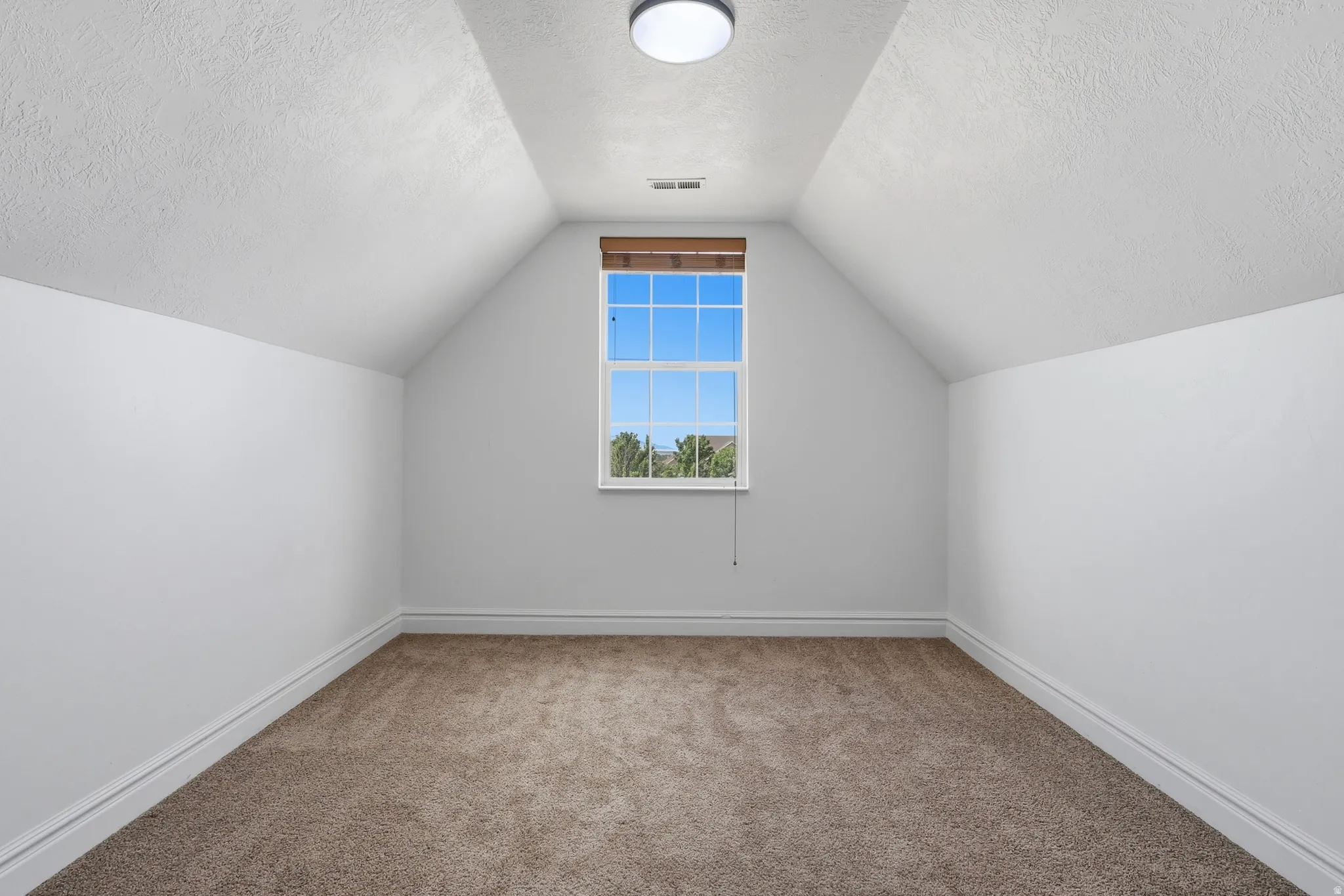 Carpeted room with a pitched ceiling and a single window