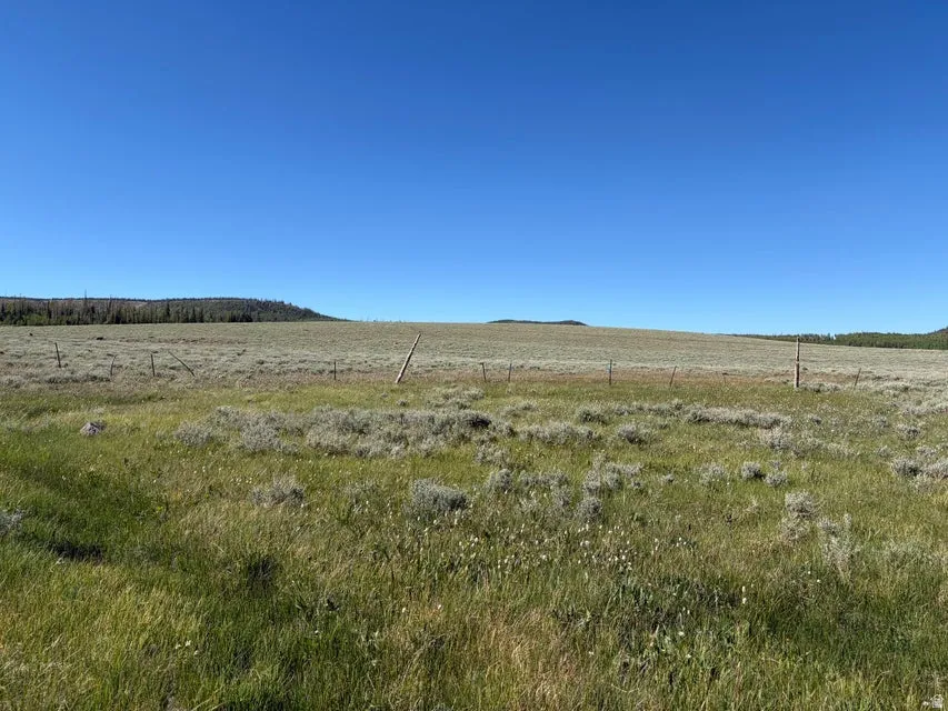 Expansive open land featuring diverse vegetation and distant tree lines