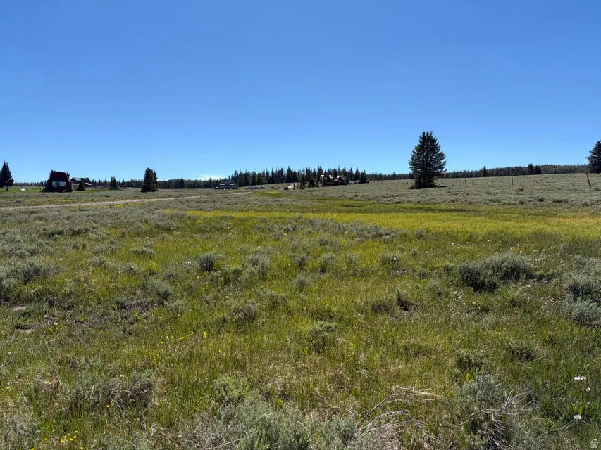 Expansive undeveloped land featuring natural vegetation and distant evergreen trees