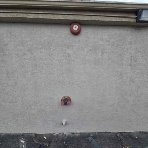 Exterior fire suppression access.