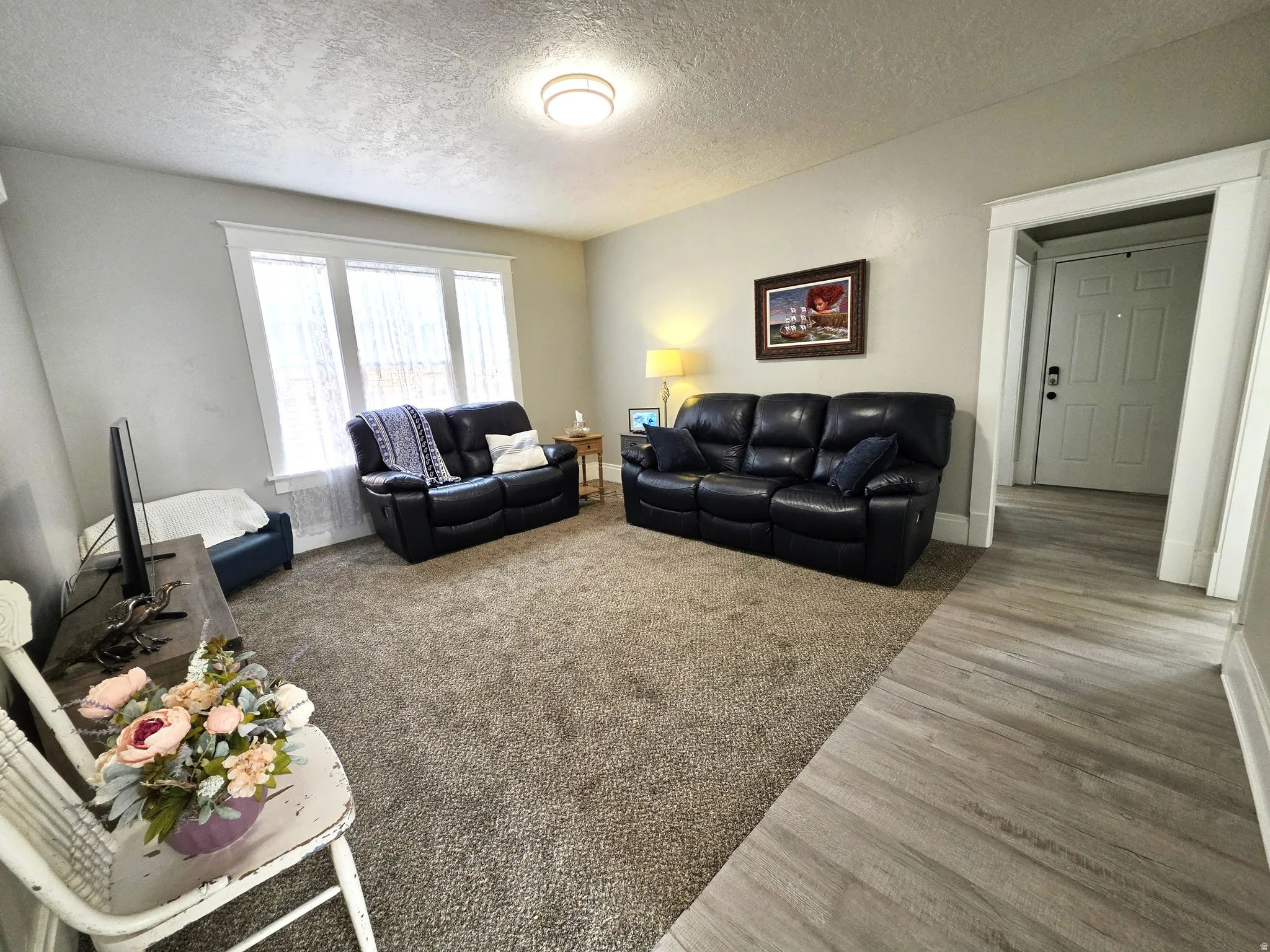 Carpeted living area featuring a large multi-pane window with white trim, light gray wall paint, and a ceiling-mounted light fixture