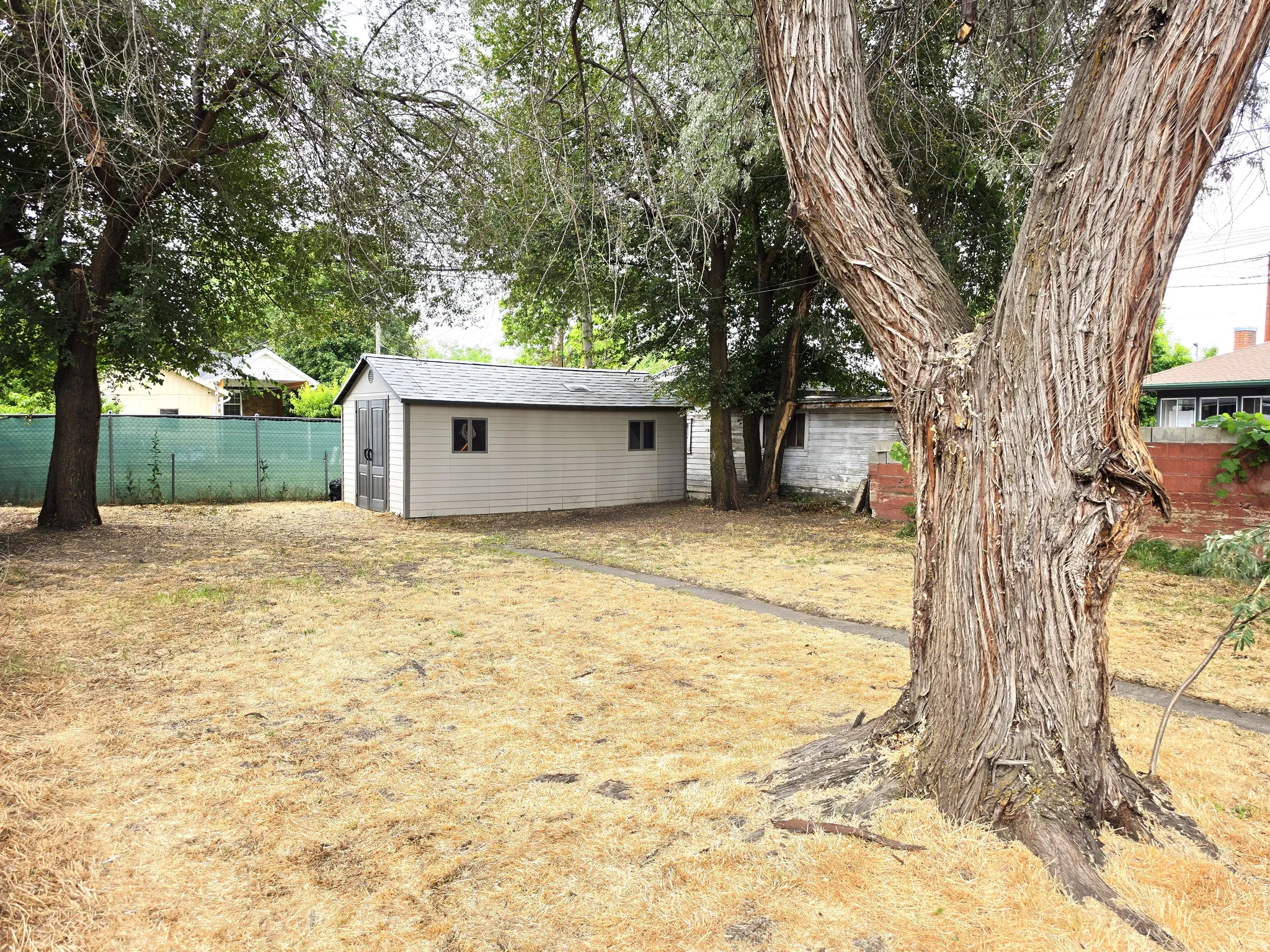 Spacious backyard featuring an established shade tree, a separate storage shed with a shingled roof, a green chain-link fence, and a brick wall