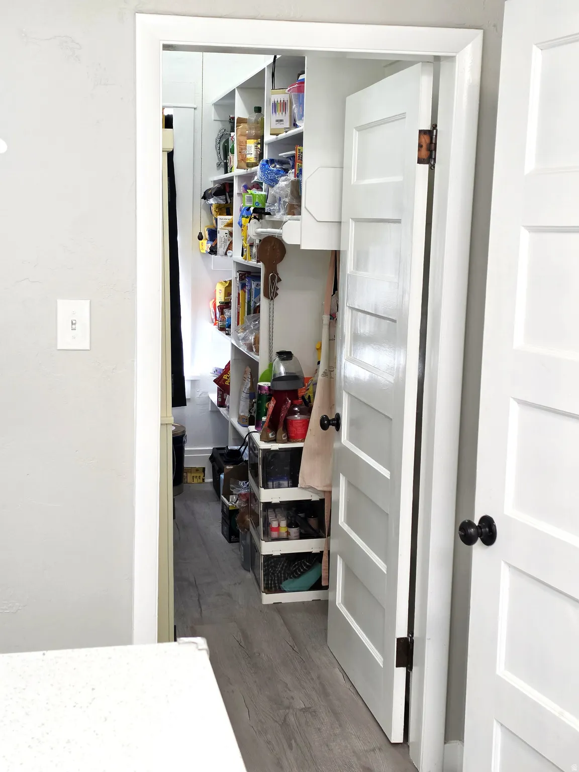 Pantry interior featuring extensive built-in shelving, wood-finish flooring, and a paneled door with dark hardware