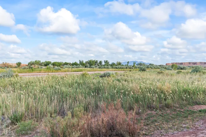 Expansive undeveloped land with natural grasses, distant foliage, and a mountainous horizon under a wide sky