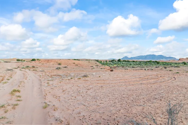 Expansive desert landscape featuring a dirt track and sparse vegetation