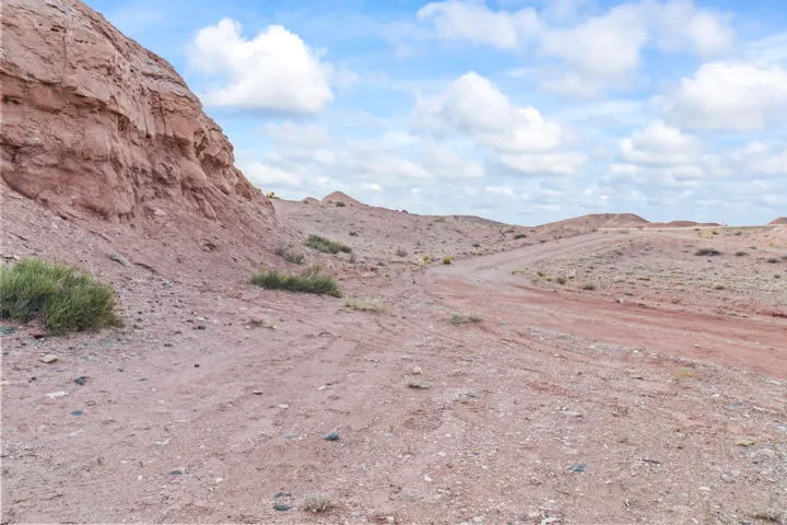 Expansive desert landscape featuring natural rock formations and a winding dirt path