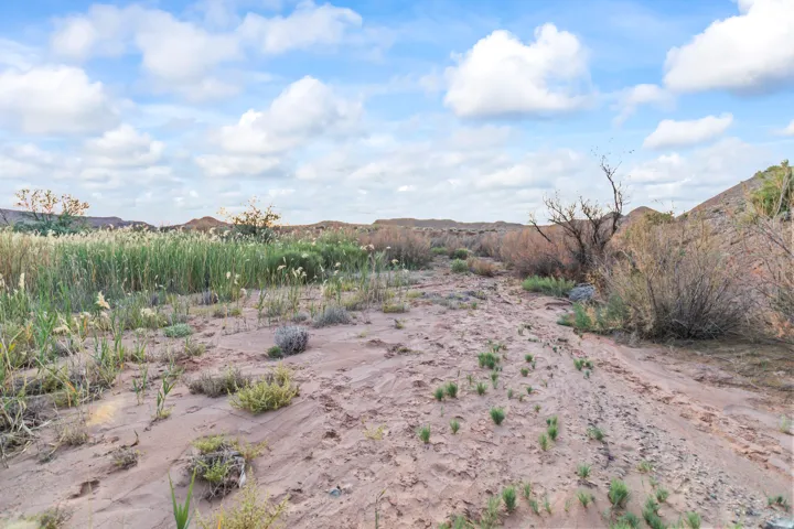 Expansive natural landscape featuring a sandy terrain and diverse vegetation under a cloud-dotted sky