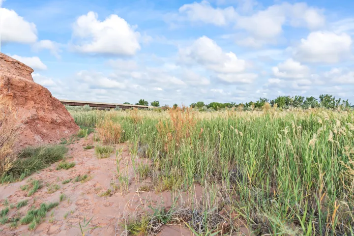 Expansive field of tall grasses with a natural red rock formation and scattered green foliage