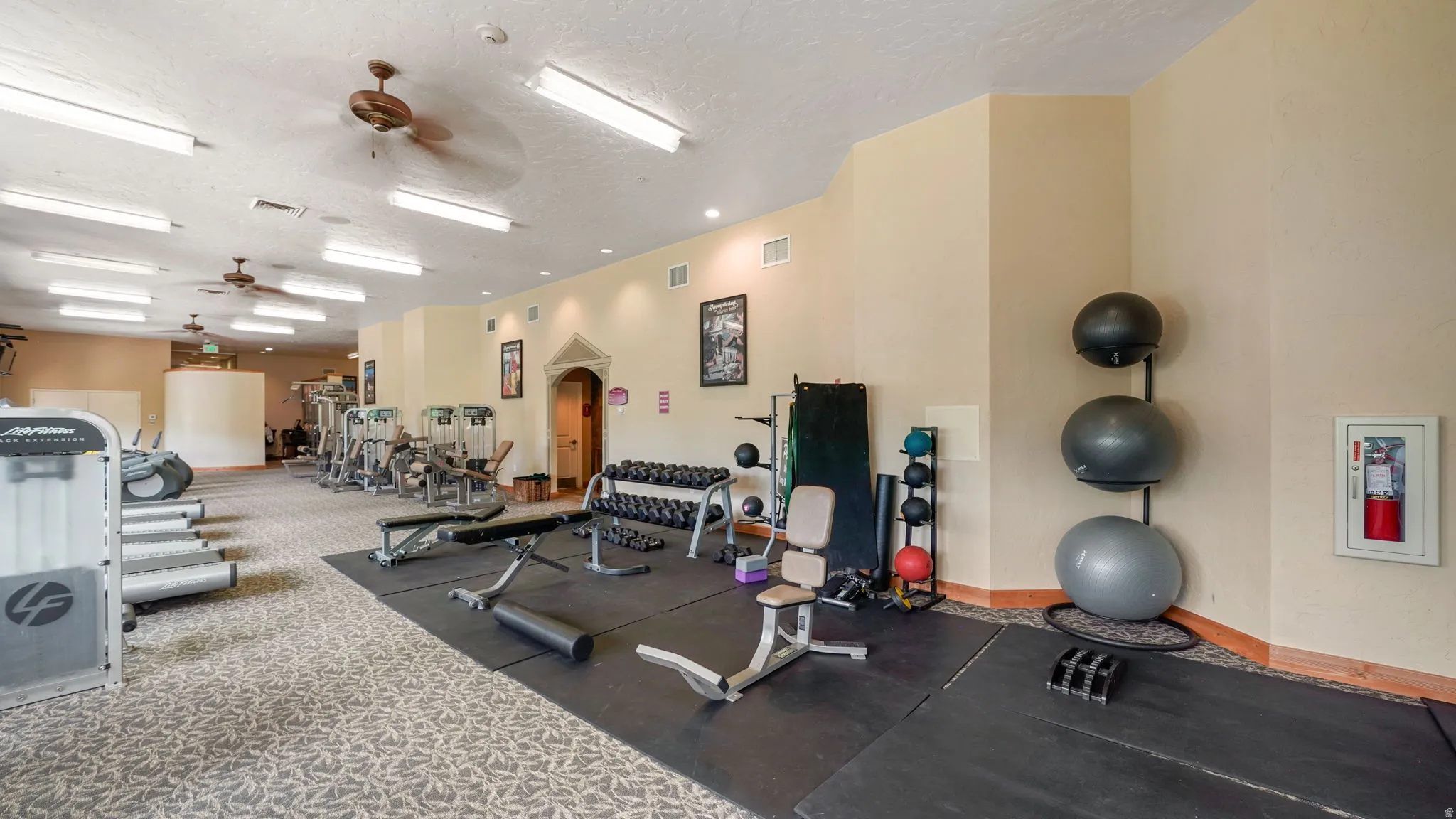 Dedicated fitness room with varied exercise equipment