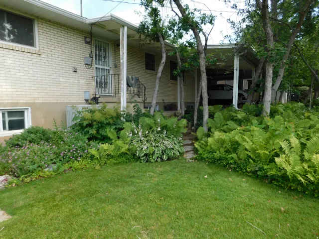 Mature front yard featuring a manicured lawn, established landscaping, and a flagstone pathway