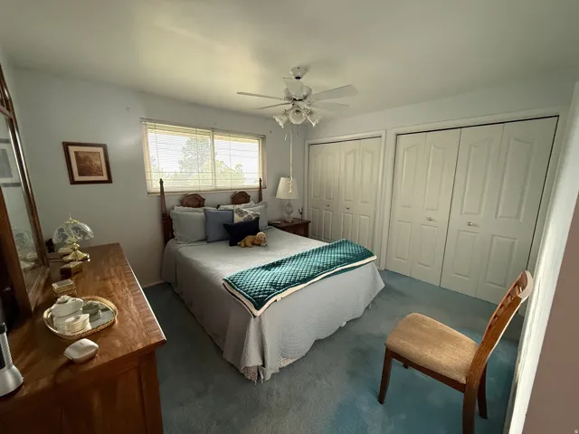 Room featuring a ceiling fan with light fixture, dual windows with blinds, and two sets of bi-fold closet doors