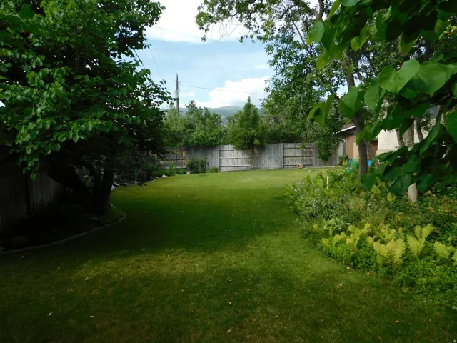 Spacious backyard featuring a manicured lawn, established perimeter landscaping, and a privacy fence