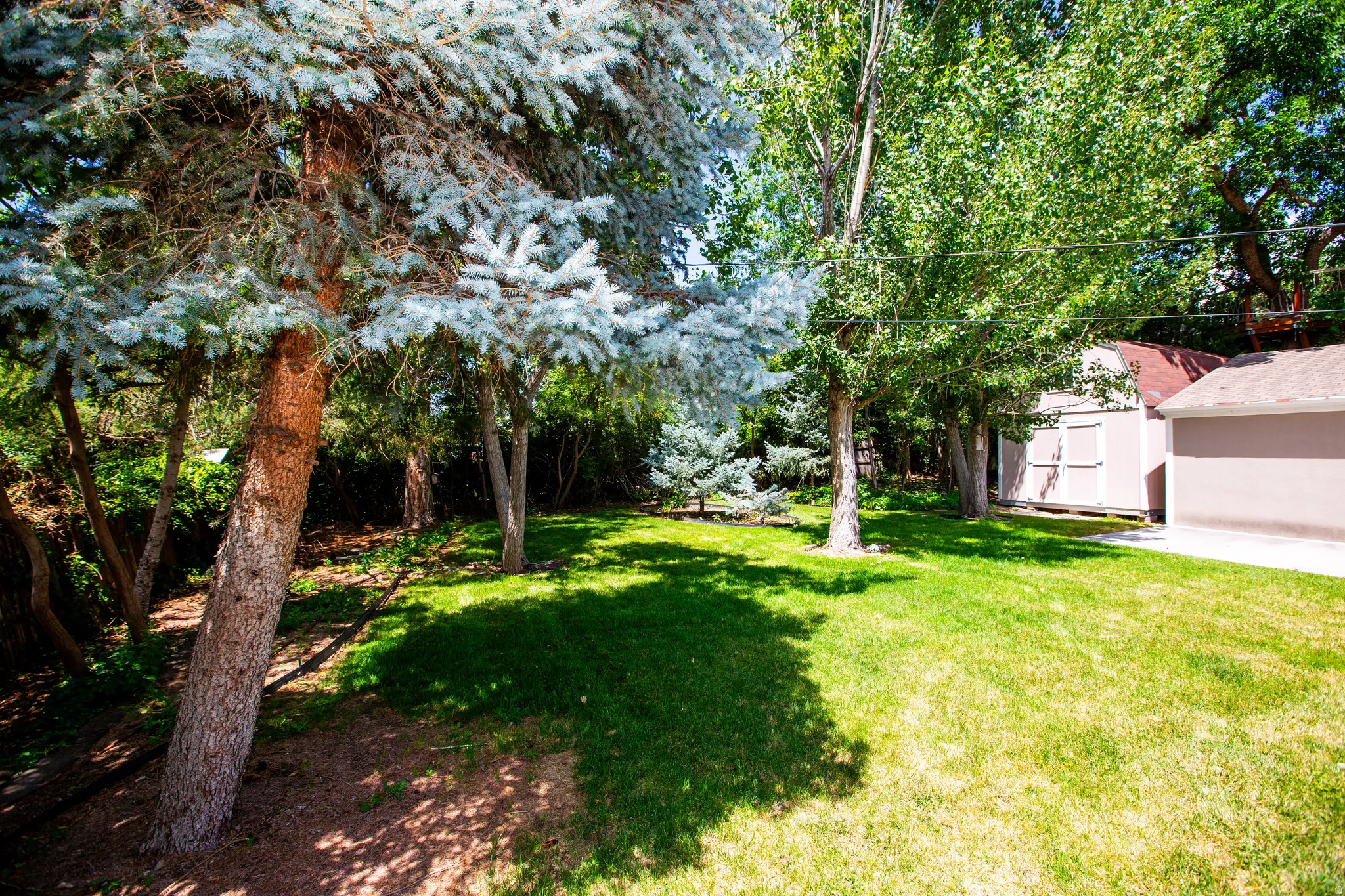 Expansive green lawn with mature trees providing partial shade