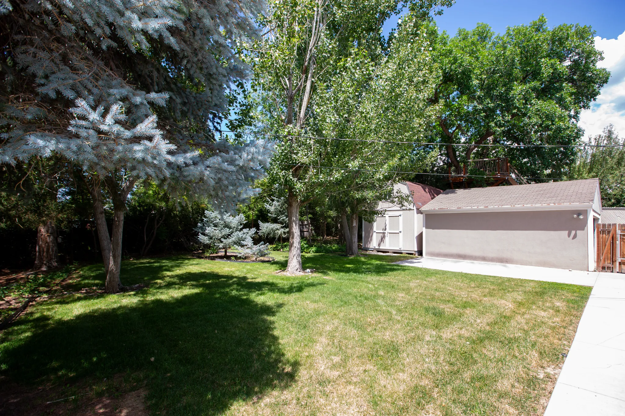 Expansive green lawn surrounded by mature trees, featuring a detached garage with a shingled roof and a separate storage shed