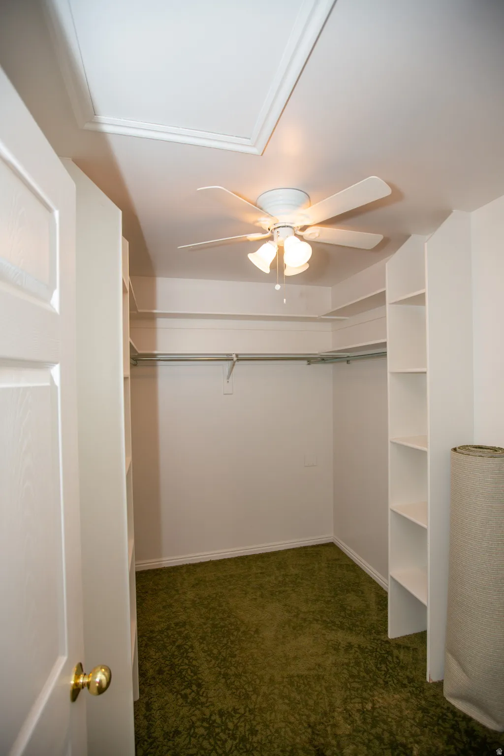 Primary bedroom walk-in closet featuring built-in shelving, hanging rods, ceiling fan with integrated lighting, and green patterned carpeting