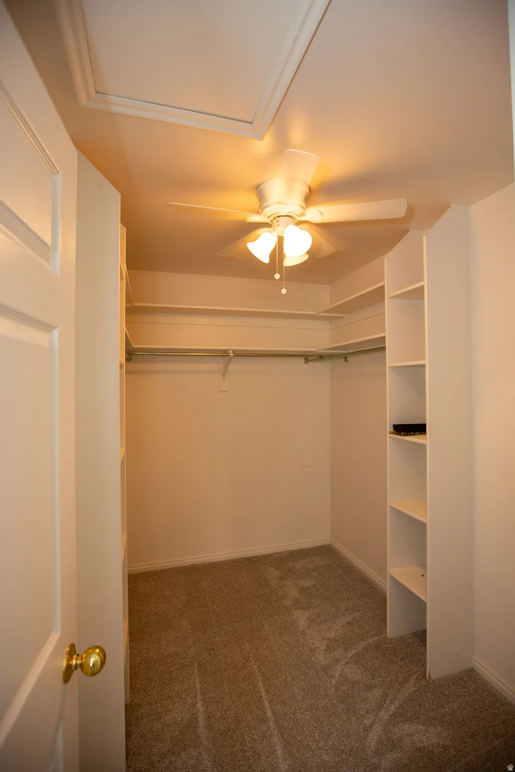 Walk-in closet featuring carpeted flooring, built-in shelving, hanging rods, a ceiling fan, and a flush-mount light fixture