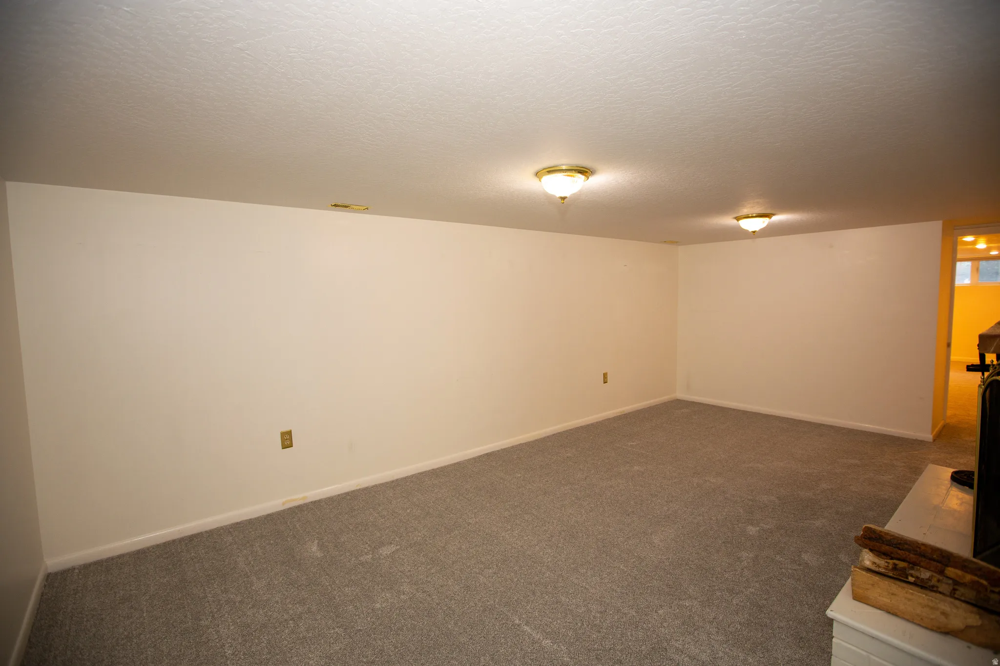 Spacious room featuring neutral carpeting, light-toned walls, and flush-mount ceiling lighting