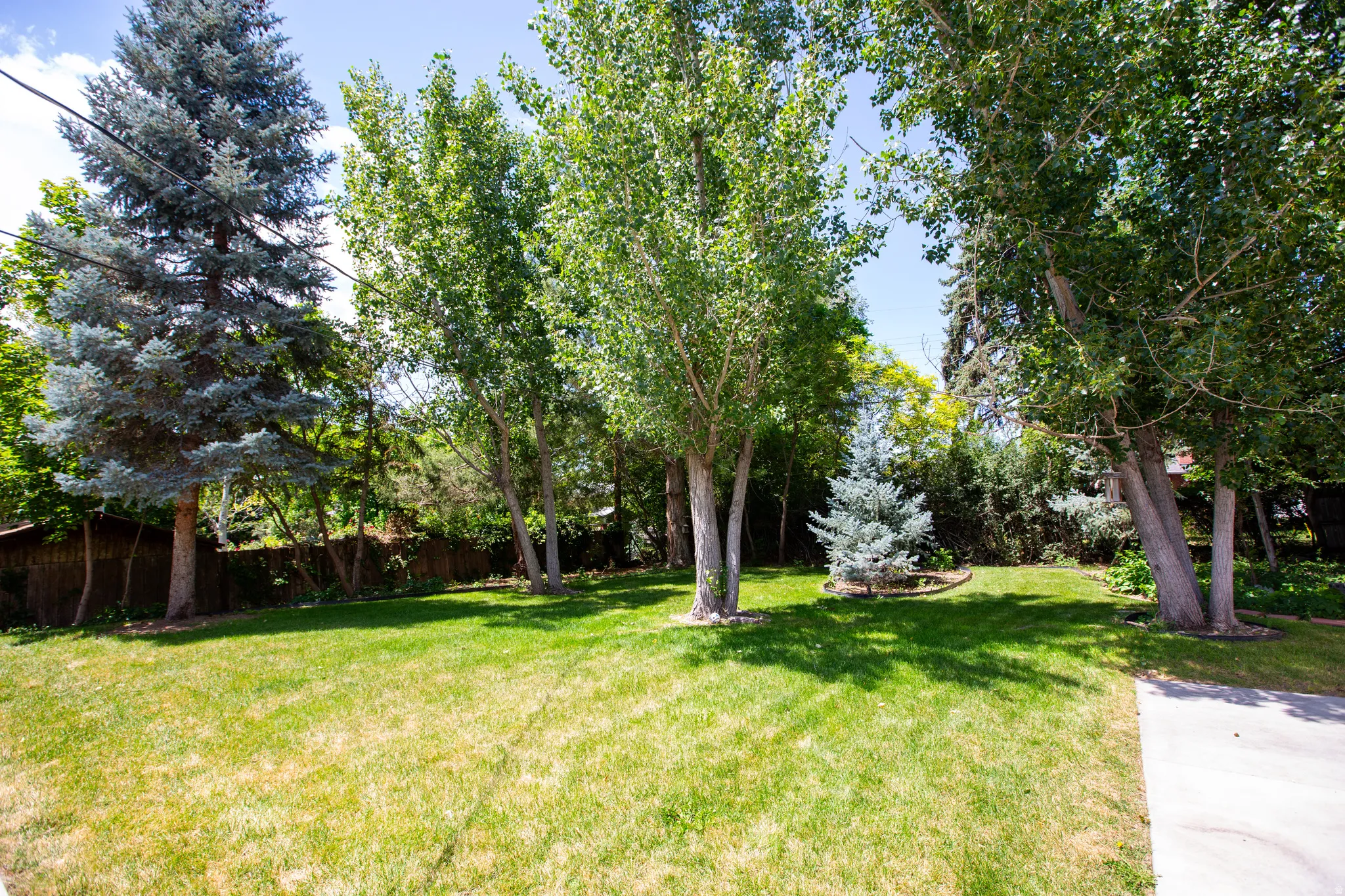 Spacious lawn area framed by mature deciduous and evergreen trees