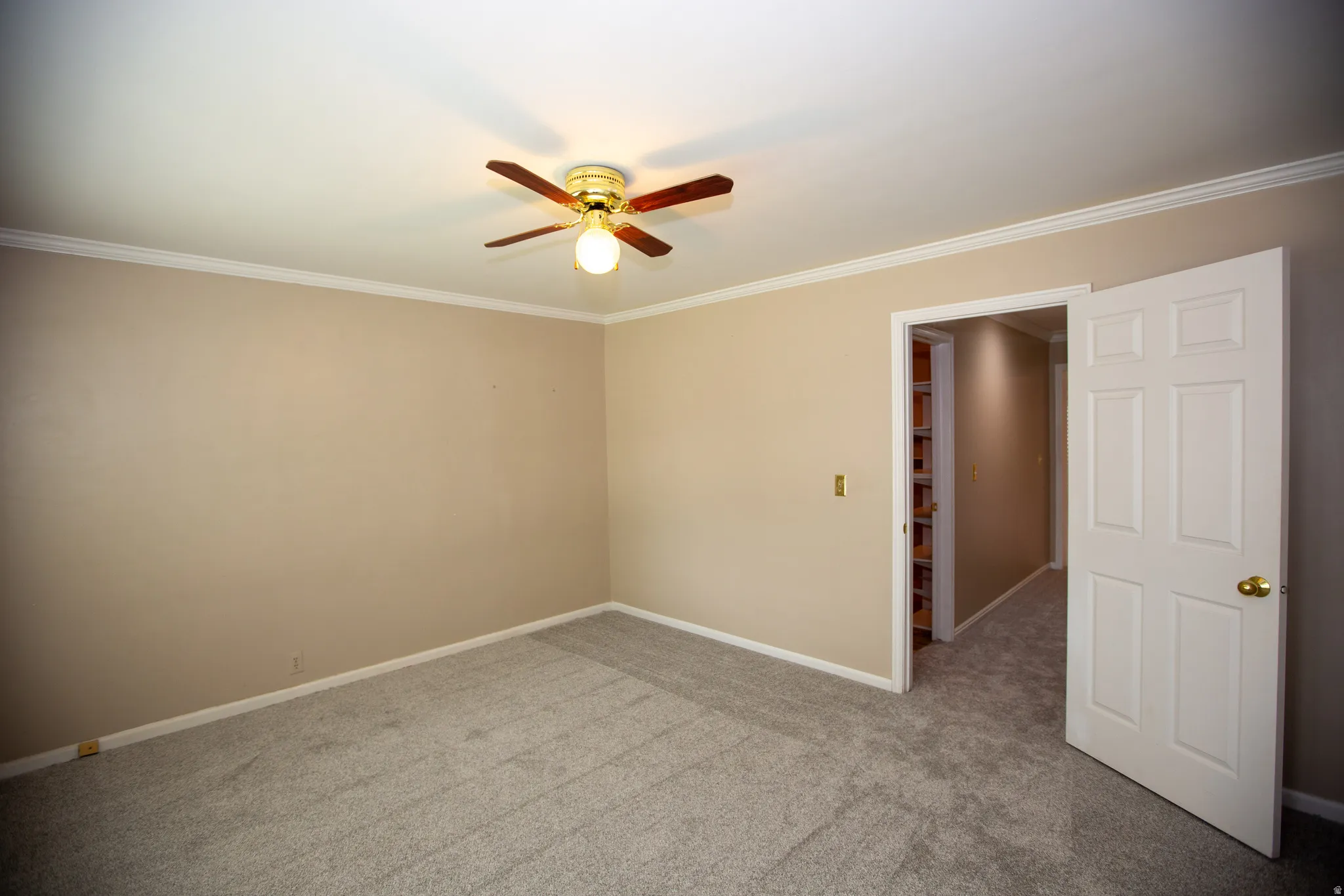 Carpeted room with neutral wall tones and white crown molding